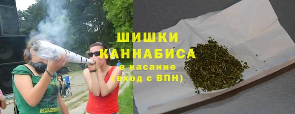 дурь Арсеньев
