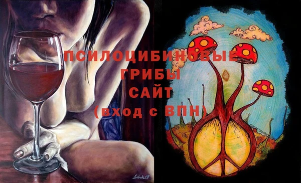 дурь Арсеньев