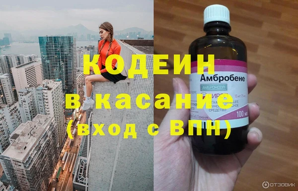 дурь Арсеньев